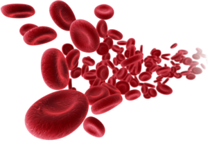 Cord Blood Cells